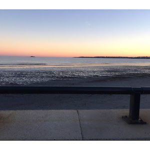 Meet your Posher, Amelia